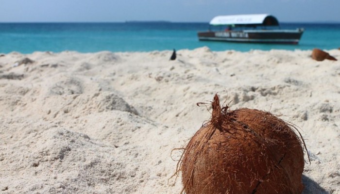 Safari Insights from SafariBeyondAdventures