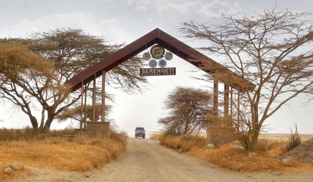 Our Story Born from a Passion for the Wild