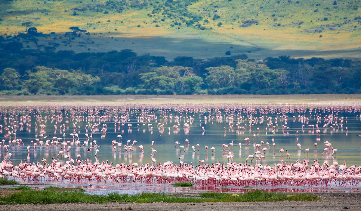 Why Travel with Safari beyond adventures ?