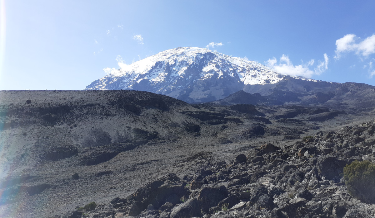 safari beyond adventures