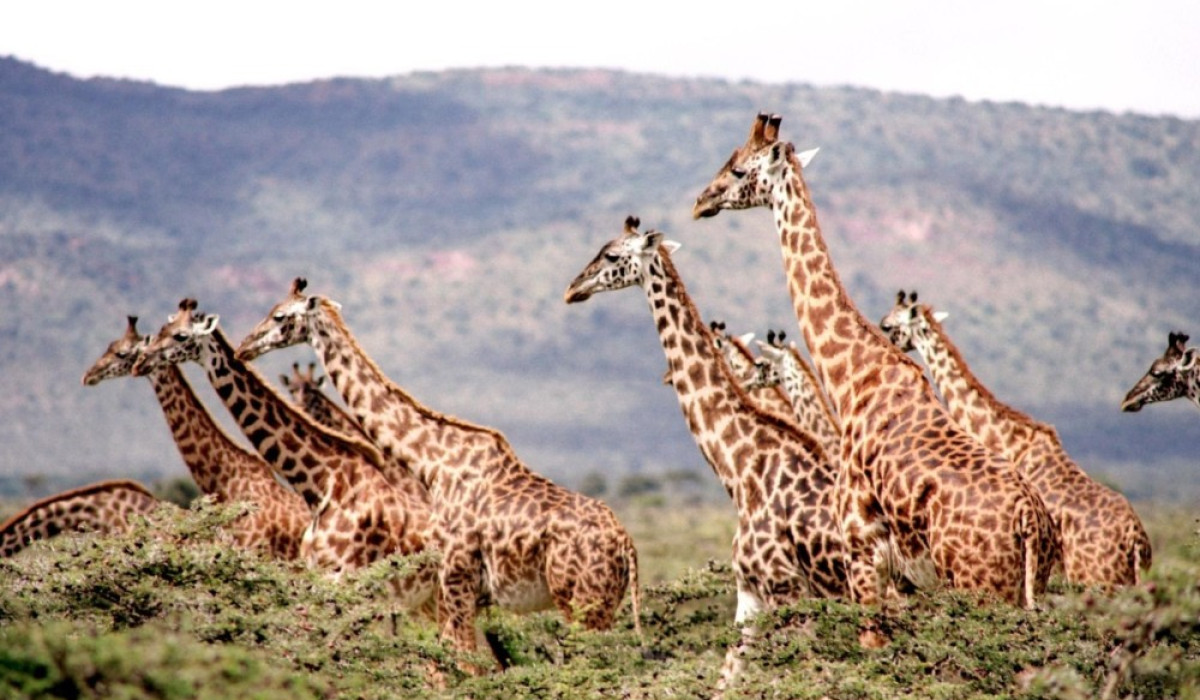 Arusha National Park