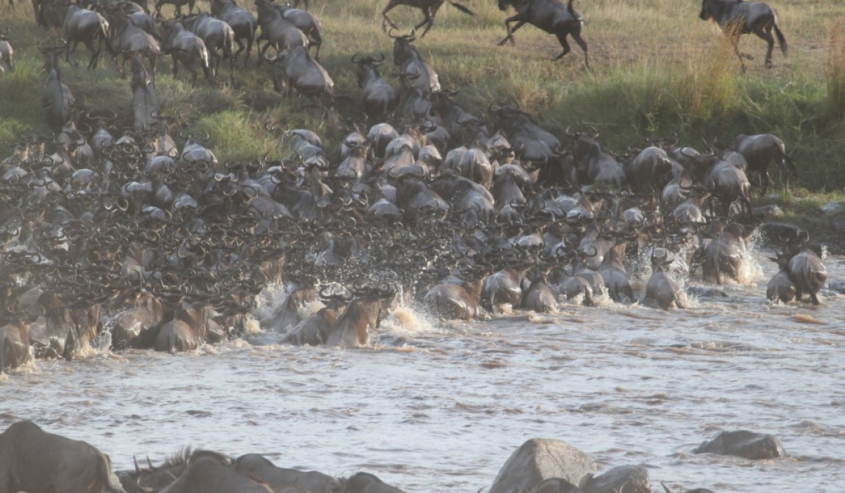 Serengeti National Park